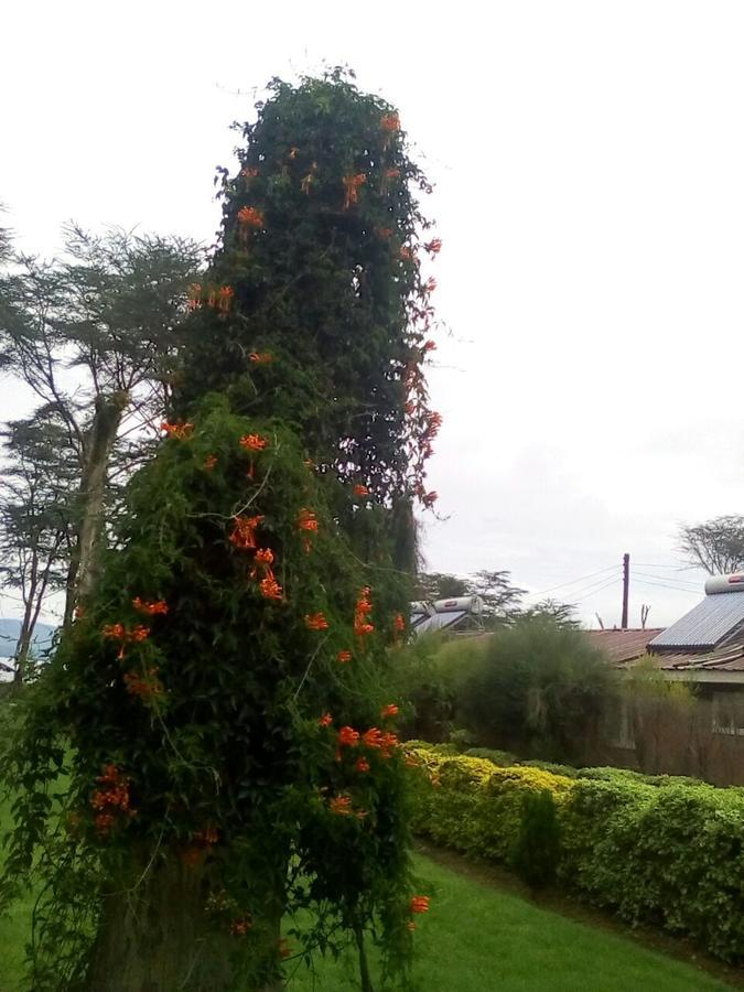 Hippo Safaris Resort Naivasha Exterior foto