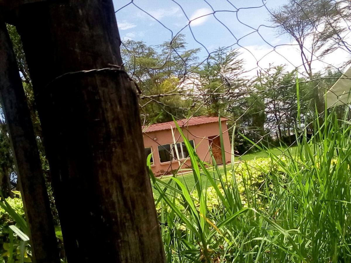 Hippo Safaris Resort Naivasha Exterior foto